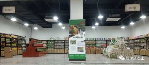 貴州戶戶達 以農產品展示體驗中心為橋，守護家鄉風味，服務會務展覽